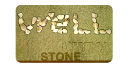 徽標合作者 Well Stone China